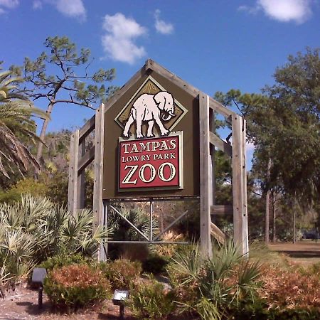 4Bd 2 Mi To Usf Free Pool + 24 Hour Gym Villa Tampa Eksteriør billede