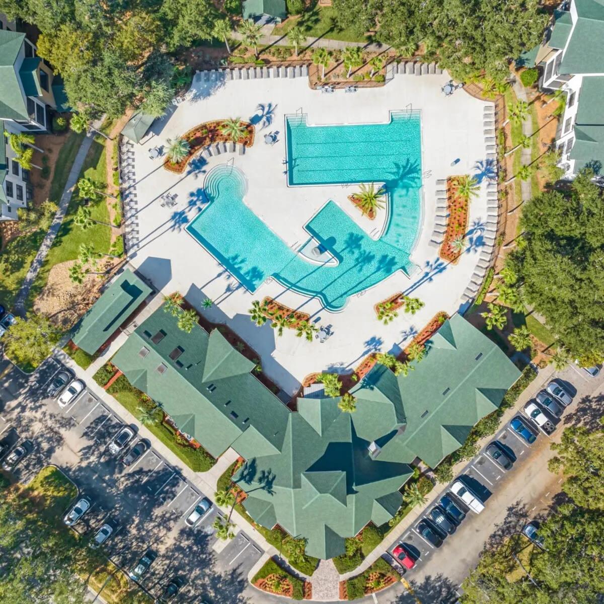 4Bd 2 Mi To Usf Free Pool + 24 Hour Gym Villa Tampa Eksteriør billede