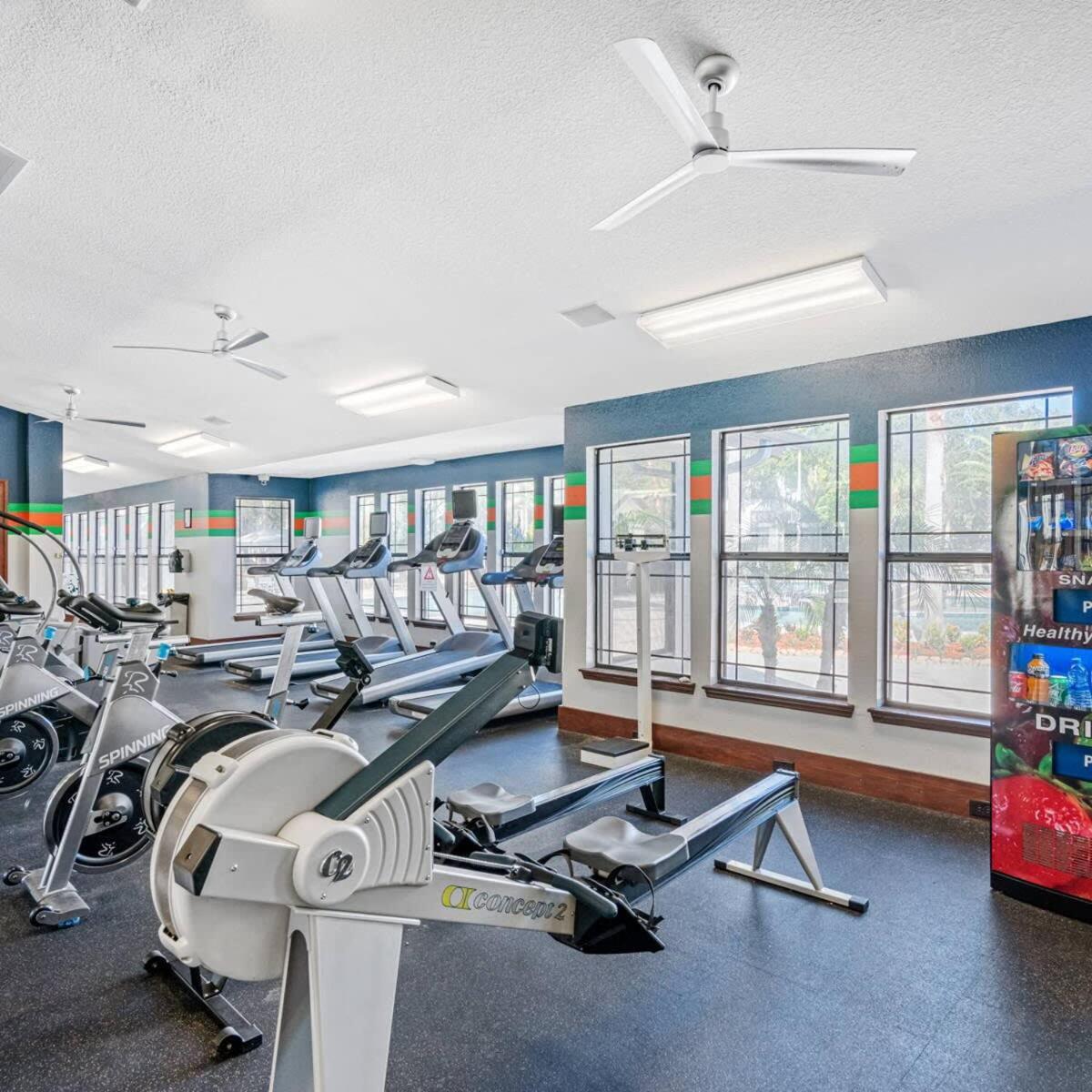 4Bd 2 Mi To Usf Free Pool + 24 Hour Gym Villa Tampa Eksteriør billede