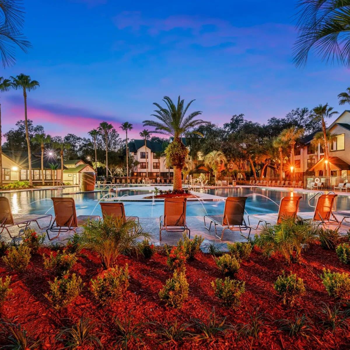 4Bd 2 Mi To Usf Free Pool + 24 Hour Gym Villa Tampa Eksteriør billede