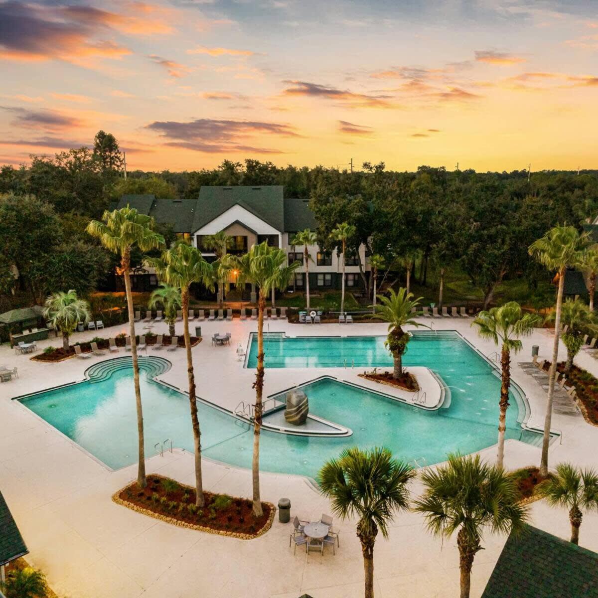 4Bd 2 Mi To Usf Free Pool + 24 Hour Gym Villa Tampa Eksteriør billede
