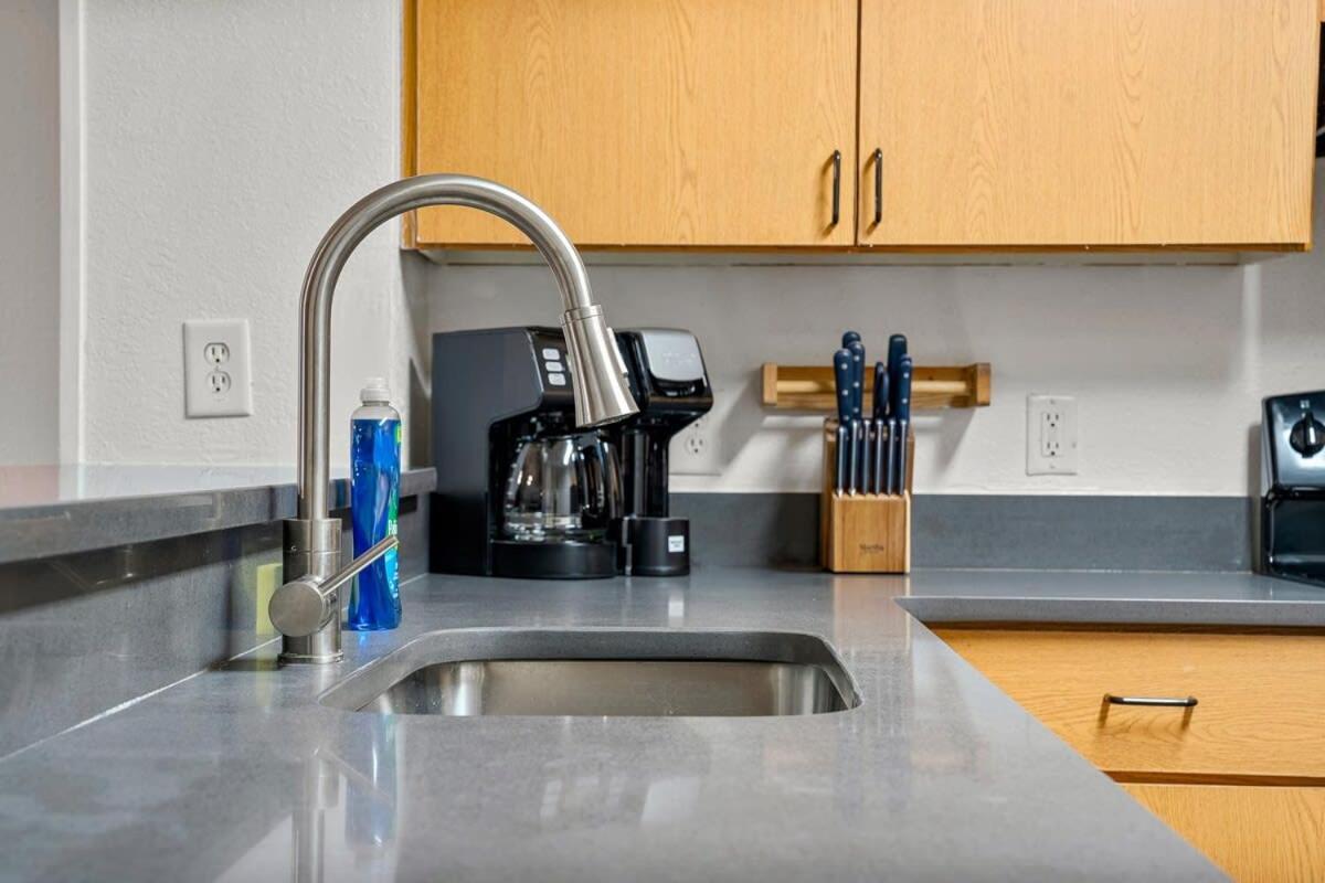 4Bd 2 Mi To Usf Free Pool + 24 Hour Gym Villa Tampa Eksteriør billede