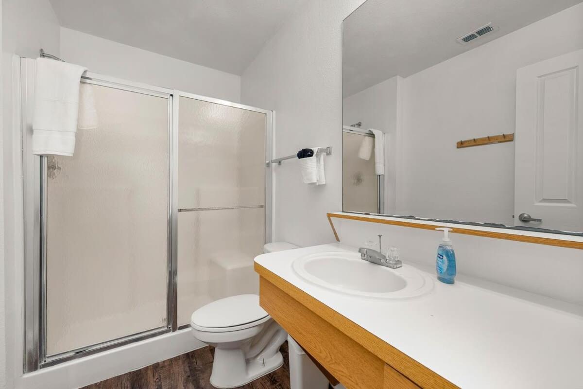 4Bd 2 Mi To Usf Free Pool + 24 Hour Gym Villa Tampa Eksteriør billede