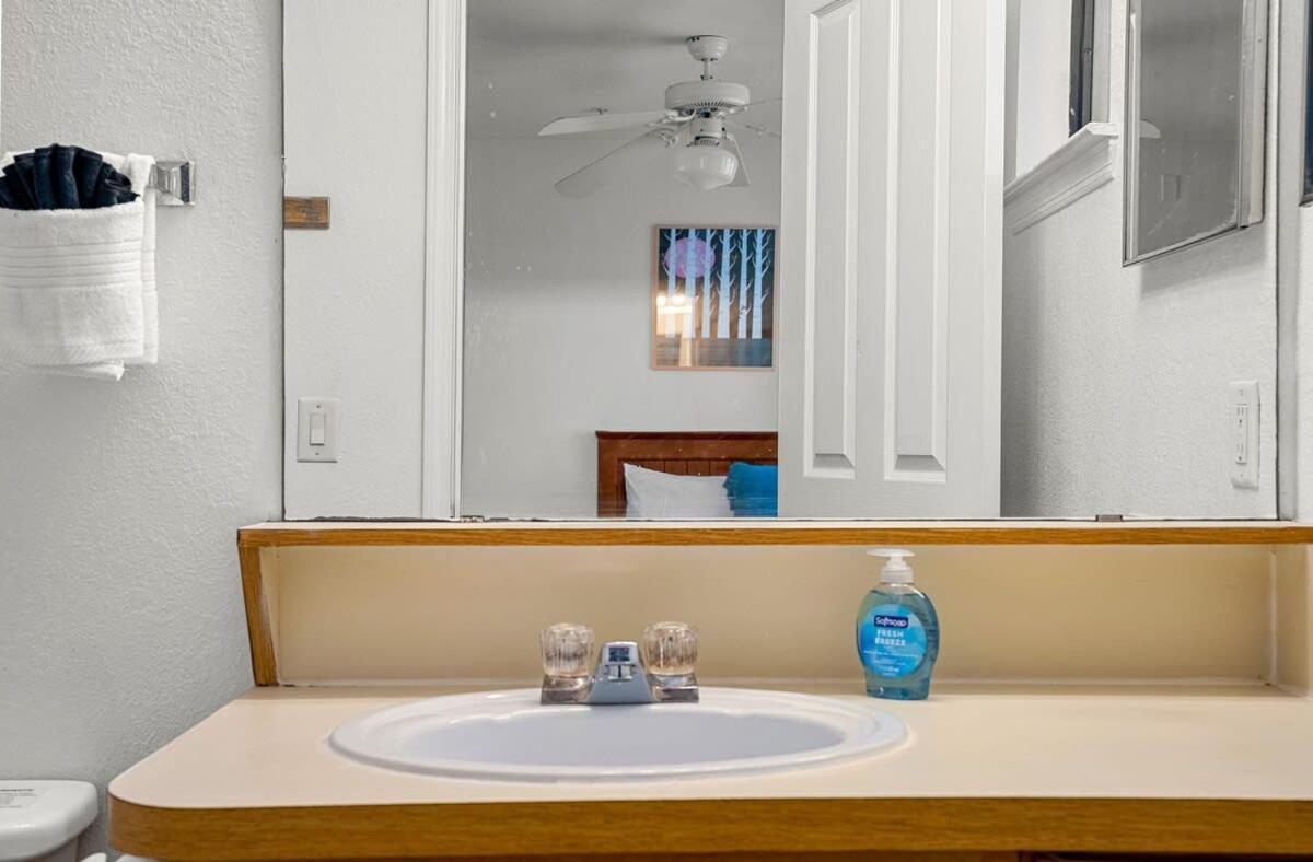 4Bd 2 Mi To Usf Free Pool + 24 Hour Gym Villa Tampa Eksteriør billede
