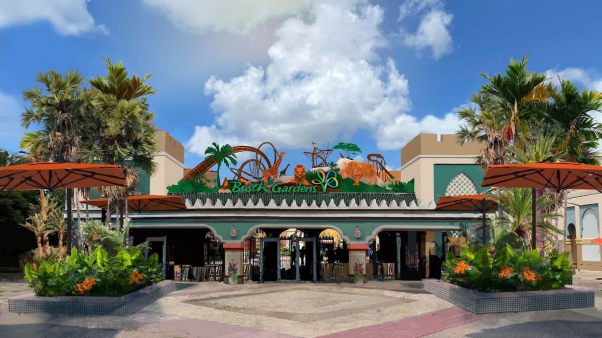 4Bd 2 Mi To Usf Free Pool + 24 Hour Gym Villa Tampa Eksteriør billede