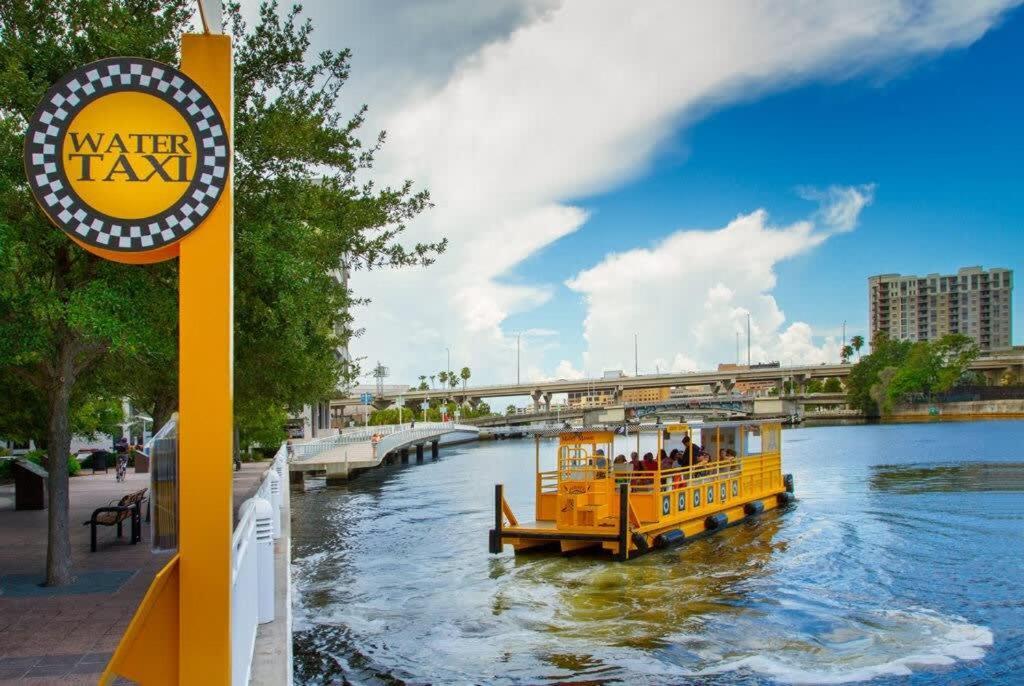 4Bd 2 Mi To Usf Free Pool + 24 Hour Gym Villa Tampa Eksteriør billede