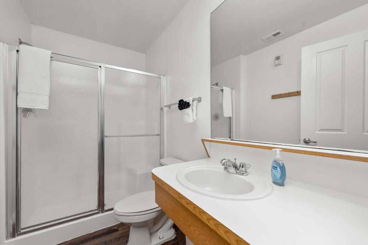 4Bd 2 Mi To Usf Free Pool + 24 Hour Gym Villa Tampa Eksteriør billede