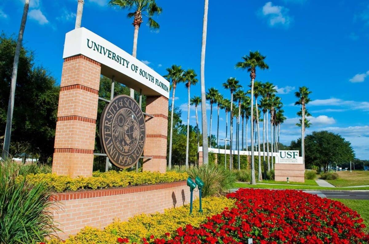 4Bd 2 Mi To Usf Free Pool + 24 Hour Gym Villa Tampa Eksteriør billede