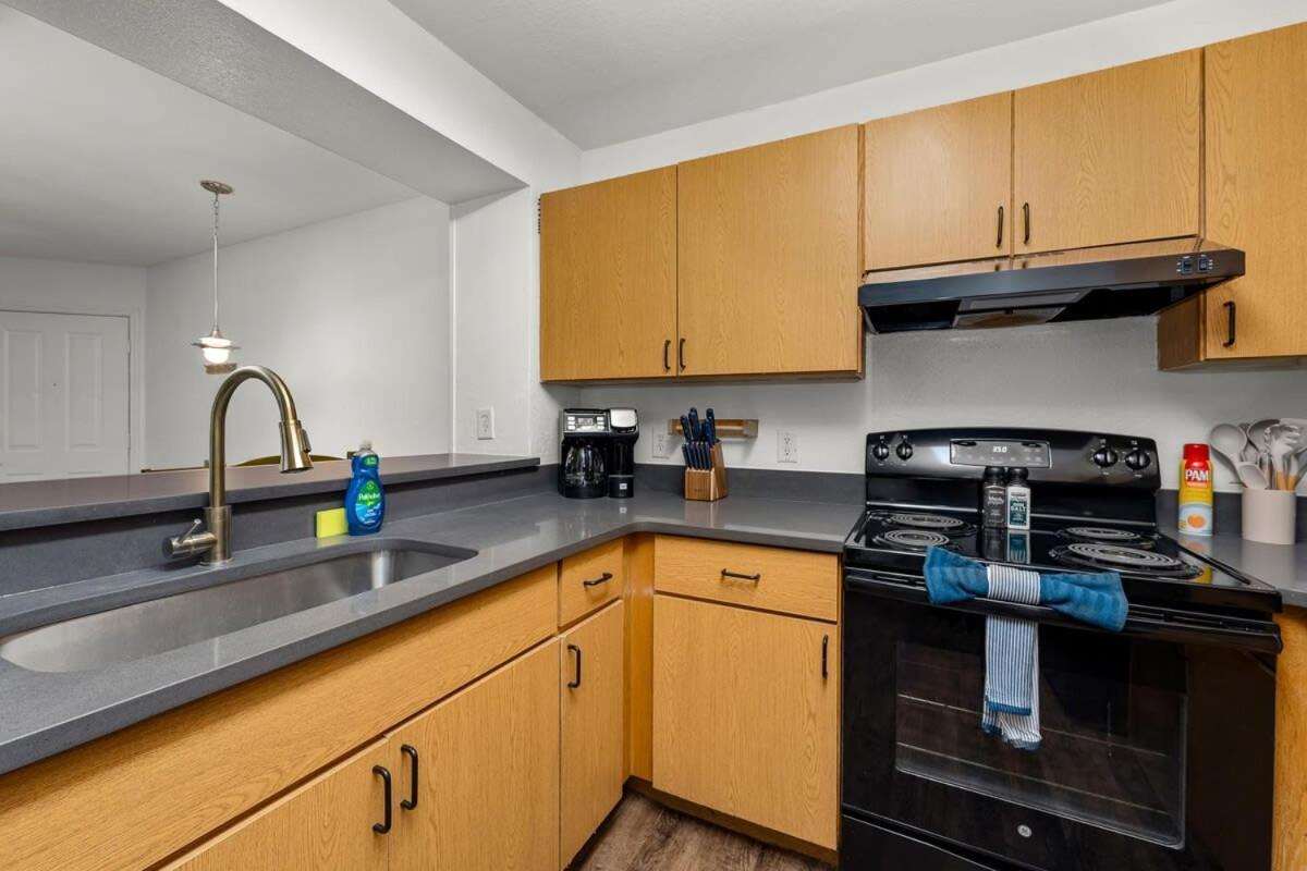 4Bd 2 Mi To Usf Free Pool + 24 Hour Gym Villa Tampa Eksteriør billede