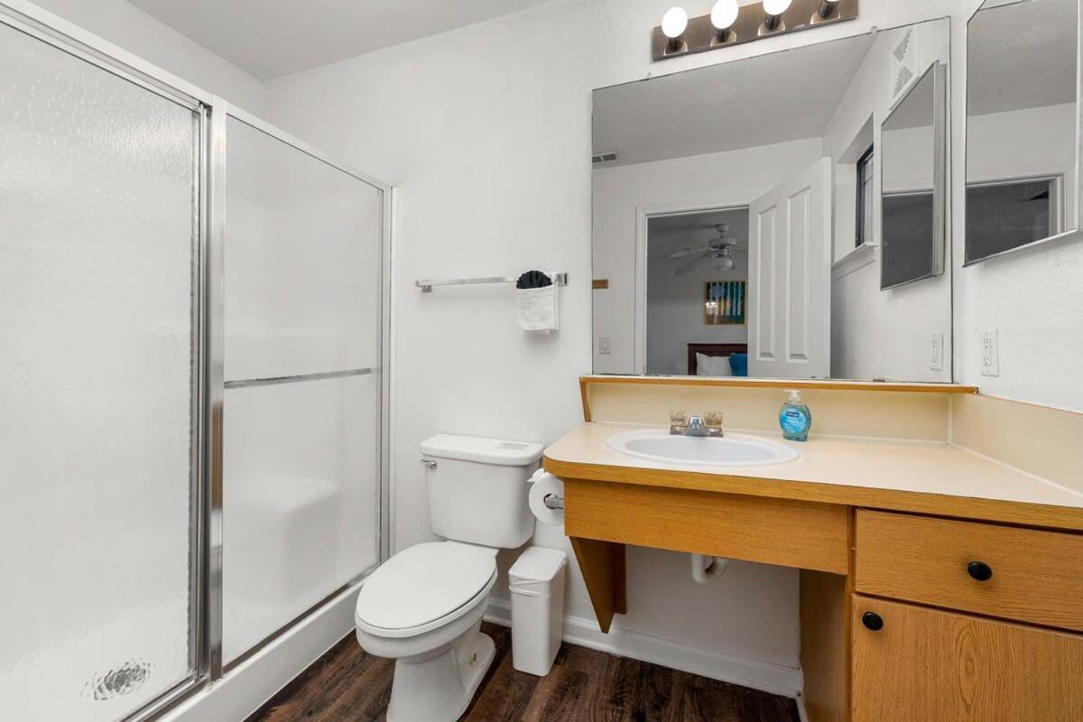 4Bd 2 Mi To Usf Free Pool + 24 Hour Gym Villa Tampa Eksteriør billede