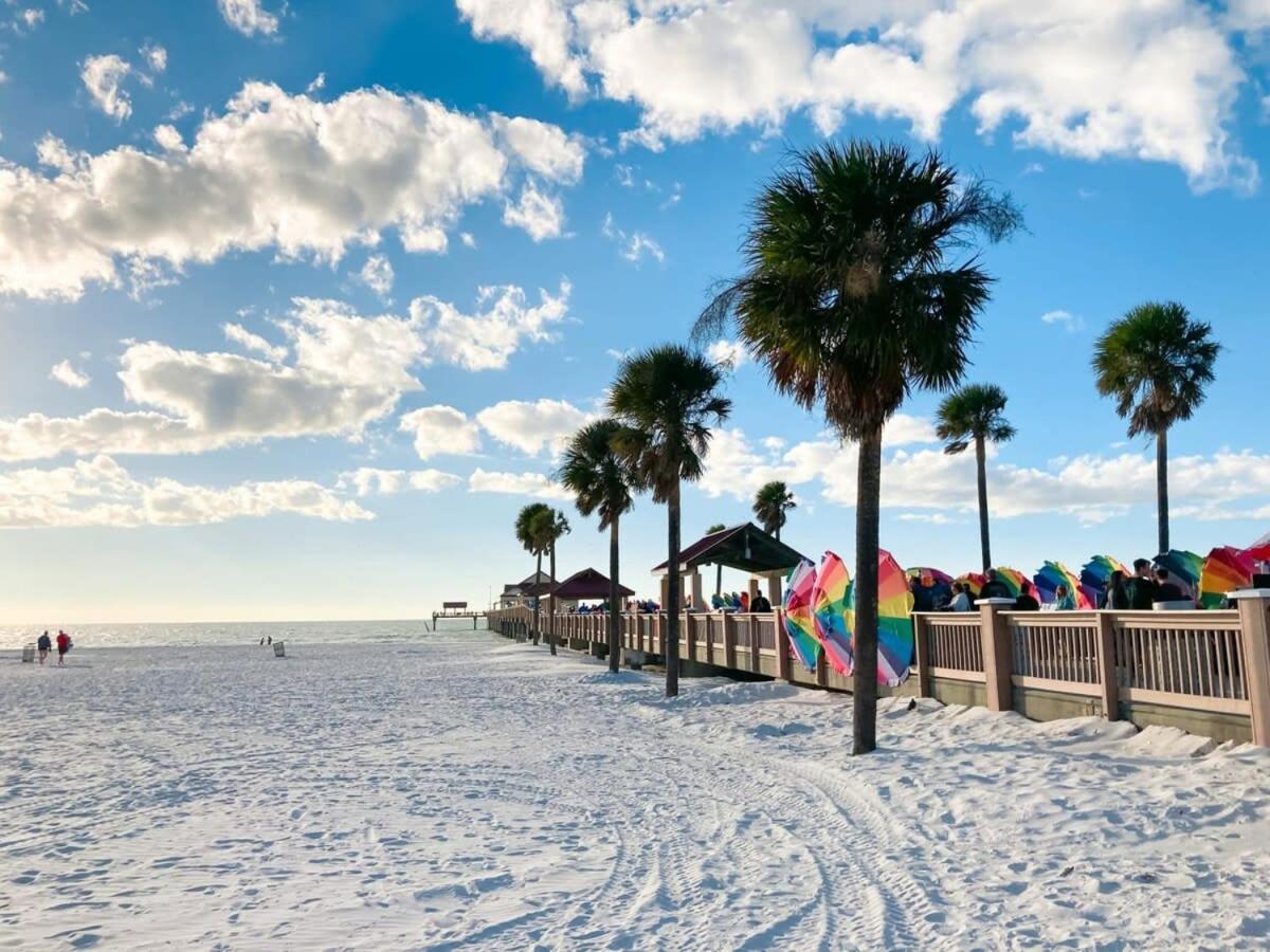 4Bd 2 Mi To Usf Free Pool + 24 Hour Gym Villa Tampa Eksteriør billede
