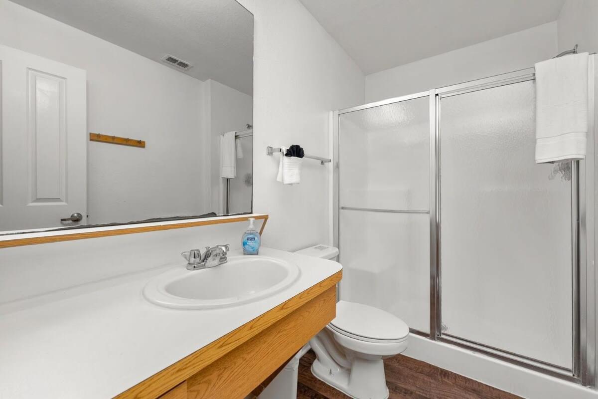 4Bd 2 Mi To Usf Free Pool + 24 Hour Gym Villa Tampa Eksteriør billede