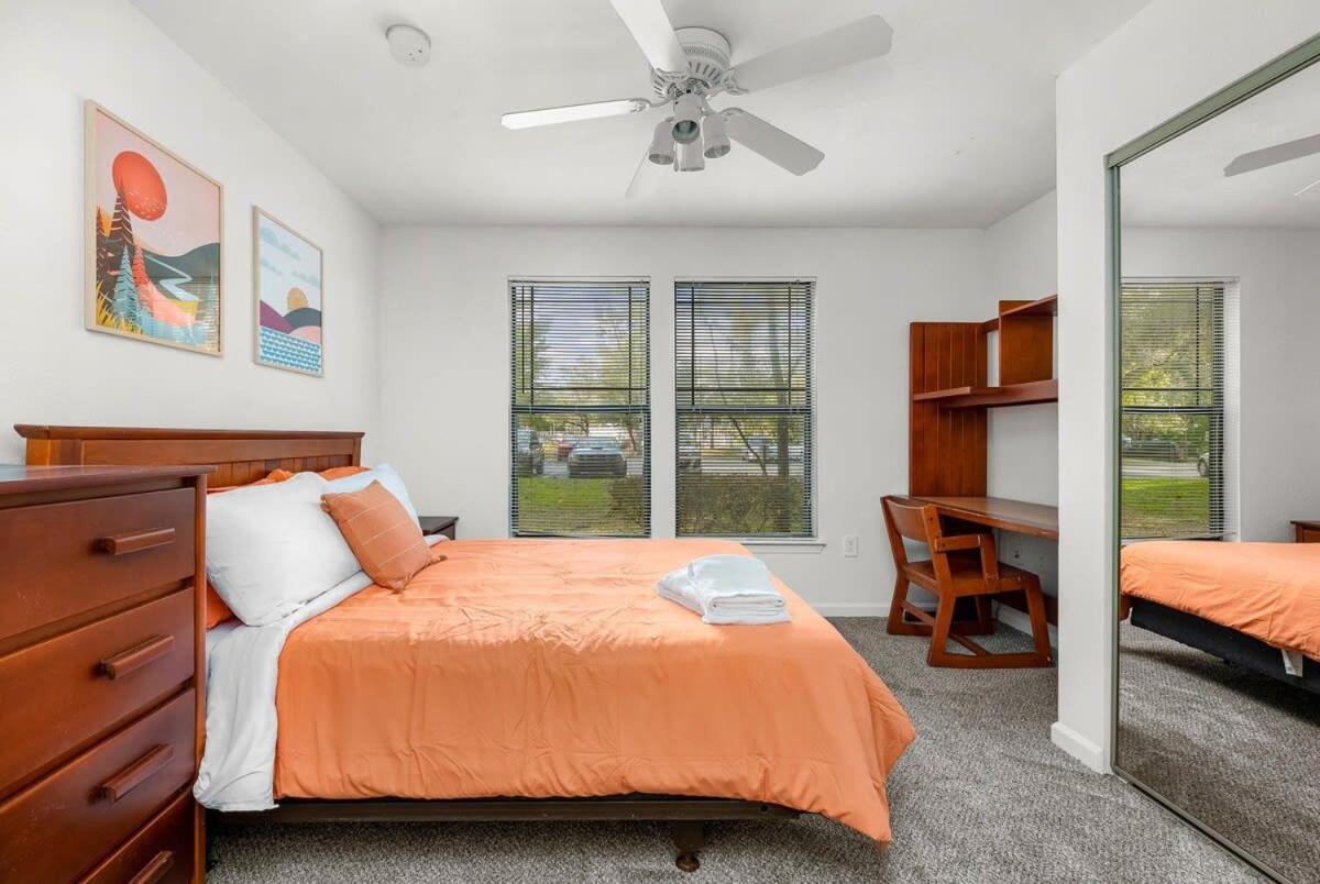 4Bd 2 Mi To Usf Free Pool + 24 Hour Gym Villa Tampa Eksteriør billede