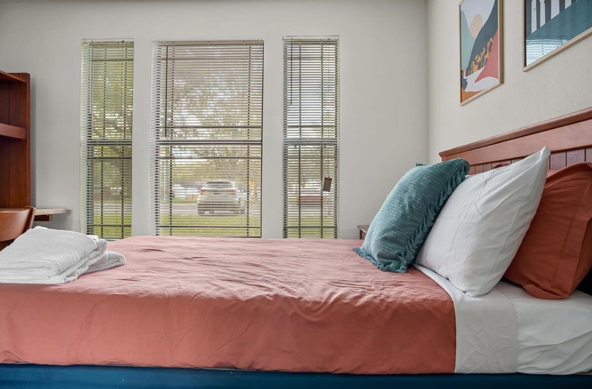 4Bd 2 Mi To Usf Free Pool + 24 Hour Gym Villa Tampa Eksteriør billede