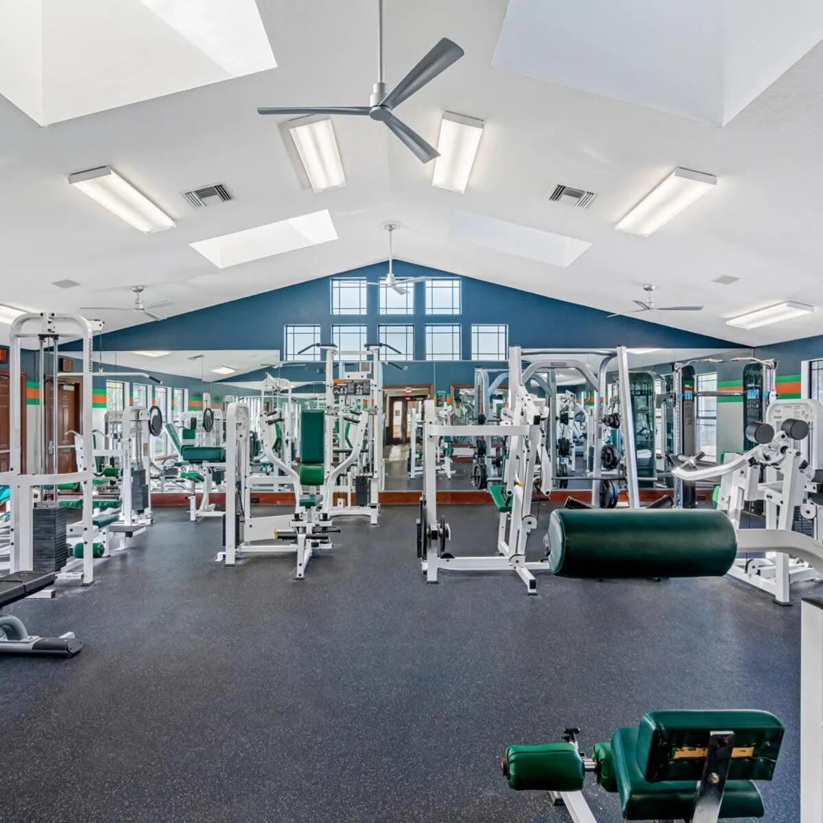 4Bd 2 Mi To Usf Free Pool + 24 Hour Gym Villa Tampa Eksteriør billede
