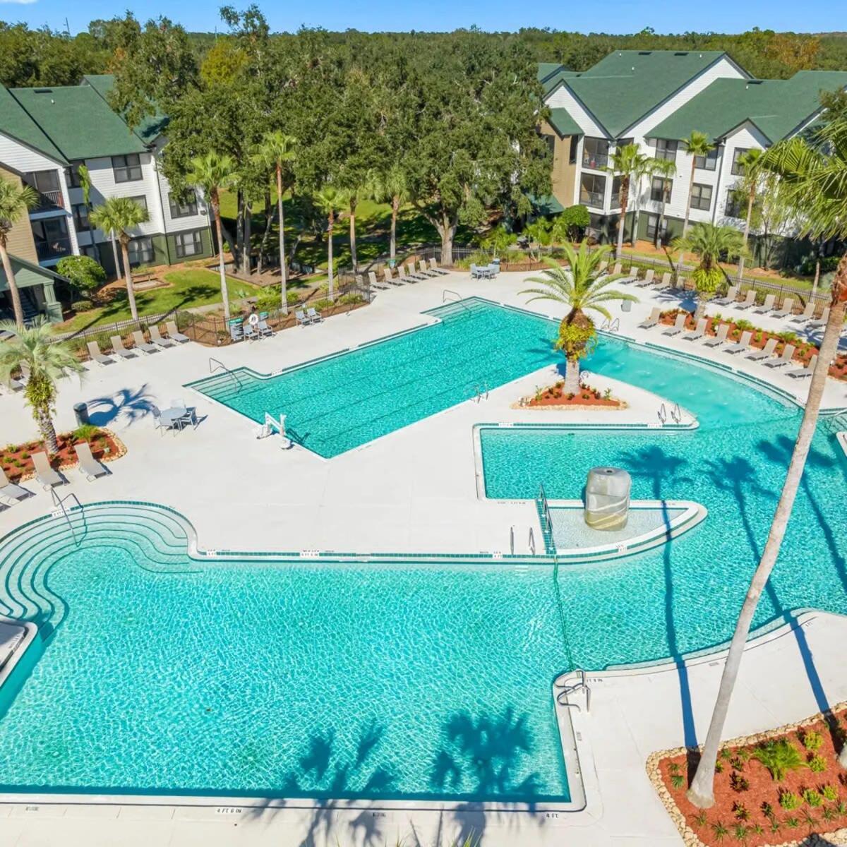4Bd 2 Mi To Usf Free Pool + 24 Hour Gym Villa Tampa Eksteriør billede